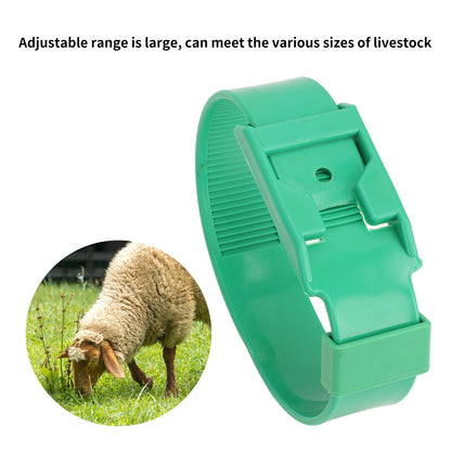 10Pcs Goat Collar Sheep Identification Bands Livestock Marking Ring Farming Equipment 36cm Green V1294-YM0521-3111230027212