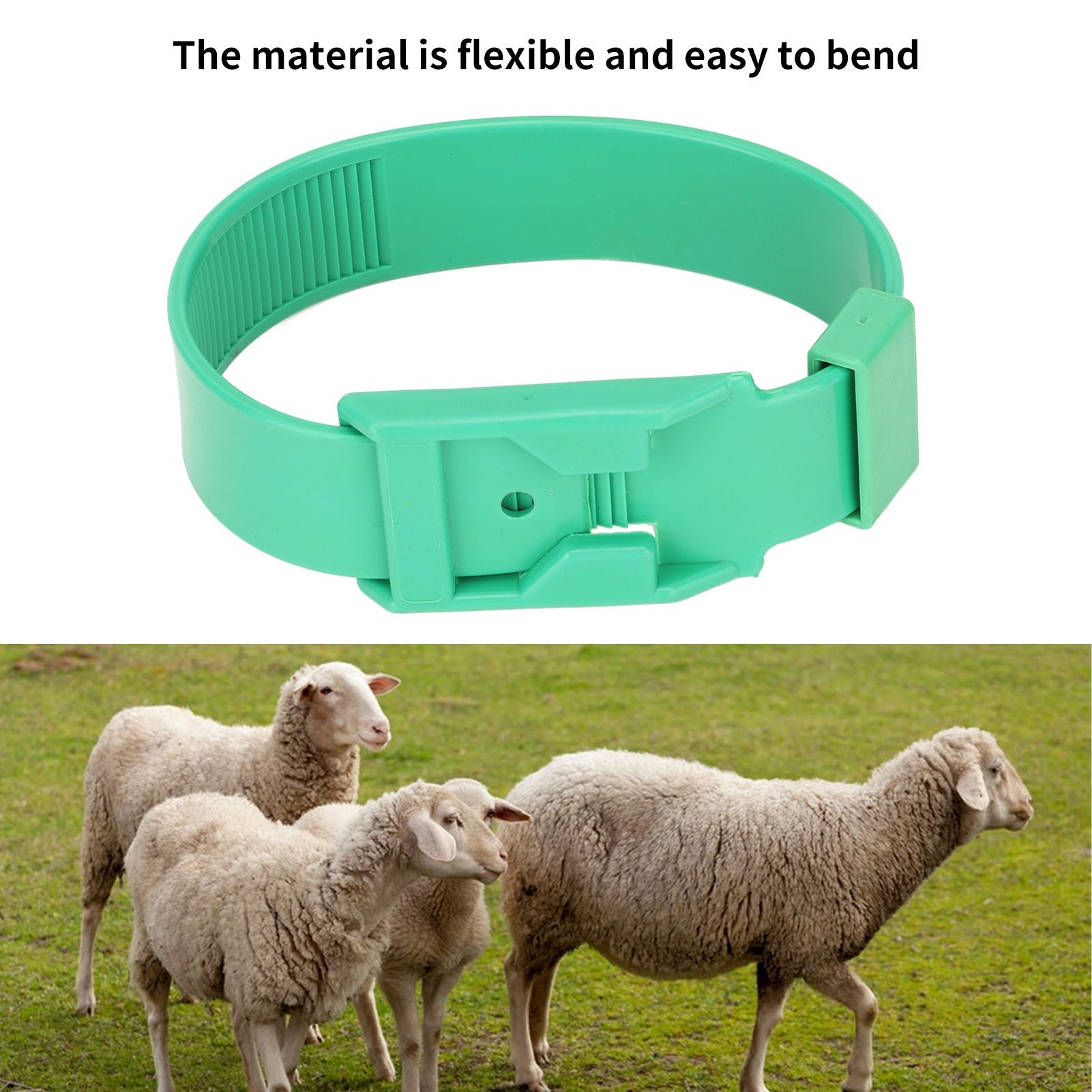 10Pcs Goat Collar Sheep Identification Bands Livestock Marking Ring Farming Equipment 36cm Green V1294-YM0521-3111230027212