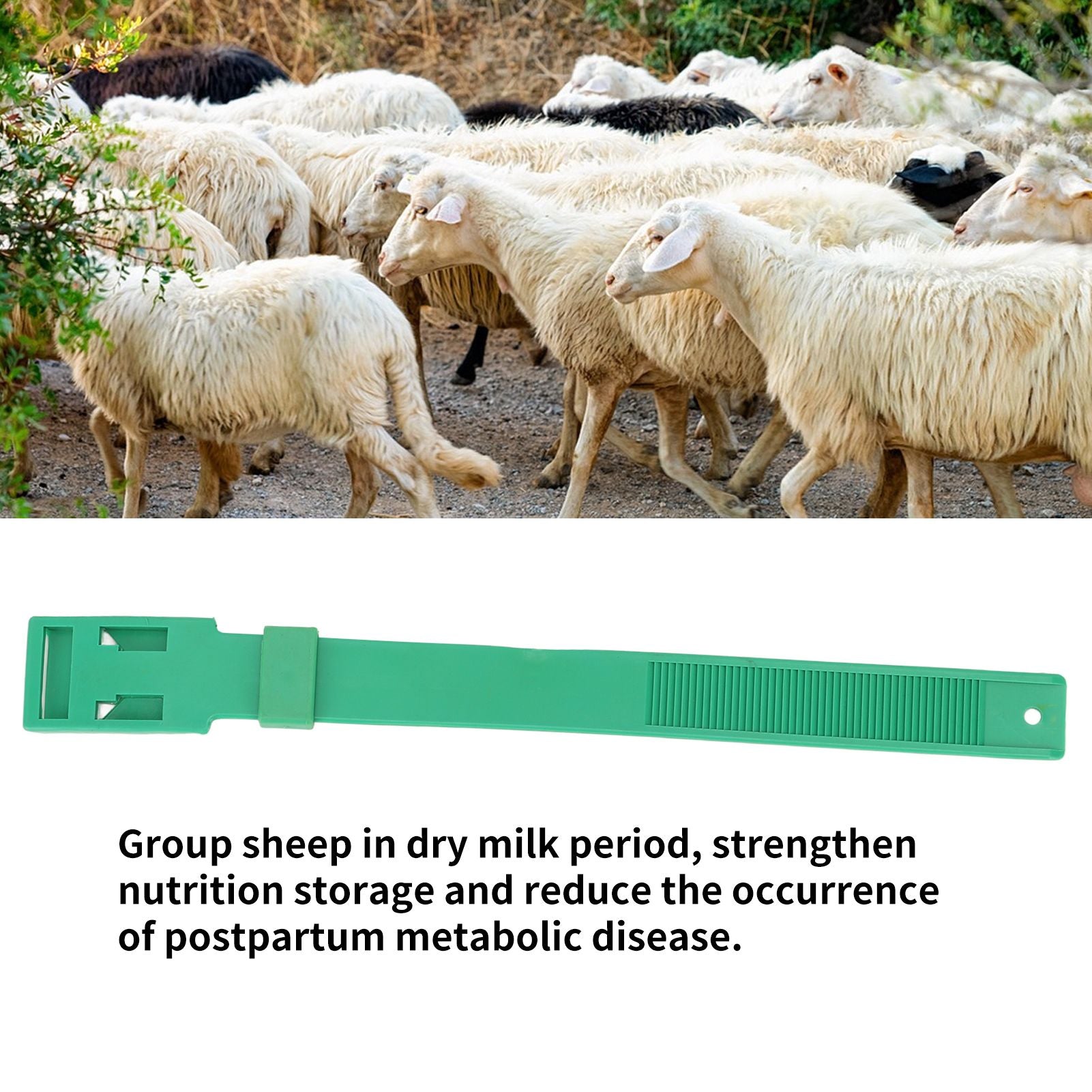 10Pcs Goat Collar Sheep Identification Bands Livestock Marking Ring Farming Equipment 36cm Green V1294-YM0521-3111230027212