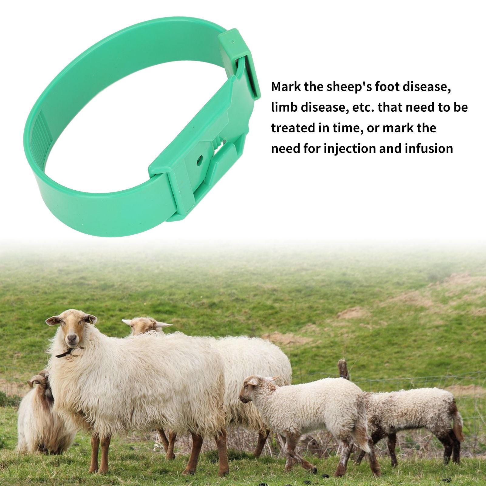 10Pcs Goat Collar Sheep Identification Bands Livestock Marking Ring Farming Equipment 36cm Green V1294-YM0521-3111230027212