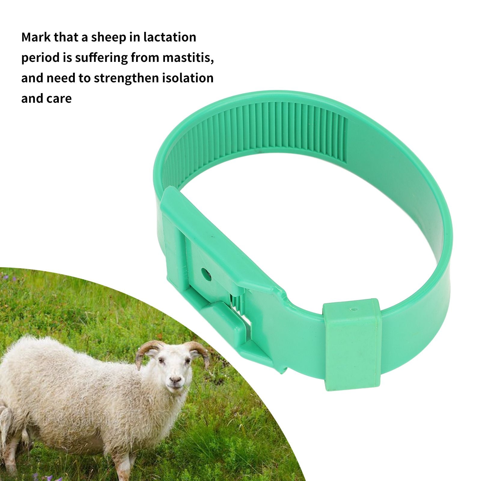 10Pcs Goat Collar Sheep Identification Bands Livestock Marking Ring Farming Equipment 36cm Green V1294-YM0521-3111230027212