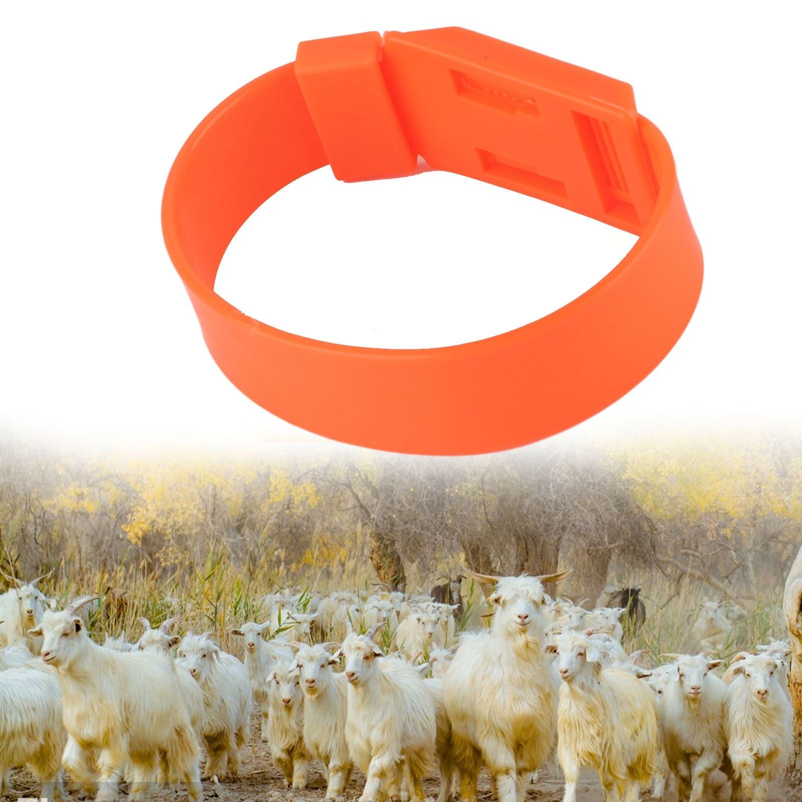 10Pcs Goat Collar Sheep Identification Bands Livestock Marking Ring Farming Equipment 36cm Orange V1294-YM0521-3111230027214