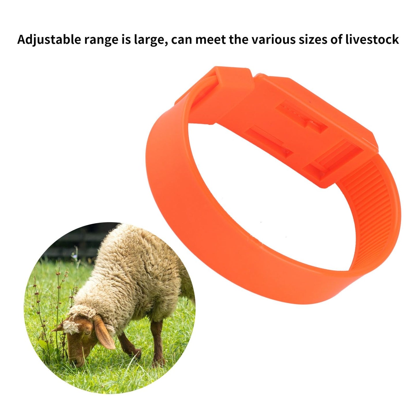 10Pcs Goat Collar Sheep Identification Bands Livestock Marking Ring Farming Equipment 36cm Orange V1294-YM0521-3111230027214