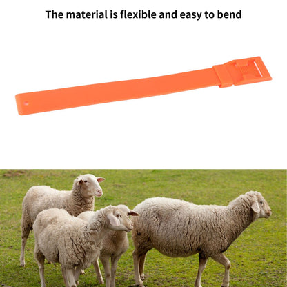 10Pcs Goat Collar Sheep Identification Bands Livestock Marking Ring Farming Equipment 36cm Orange V1294-YM0521-3111230027214