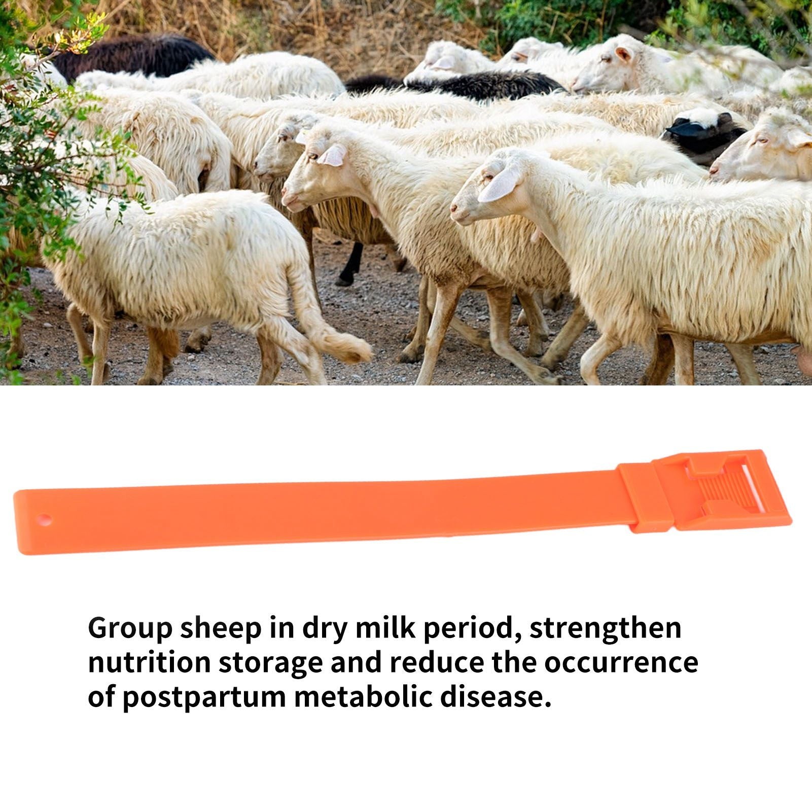 10Pcs Goat Collar Sheep Identification Bands Livestock Marking Ring Farming Equipment 36cm Orange V1294-YM0521-3111230027214