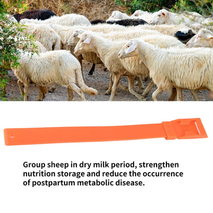 10Pcs Goat Collar Sheep Identification Bands Livestock Marking Ring Farming Equipment 36cm Orange V1294-YM0521-3111230027214