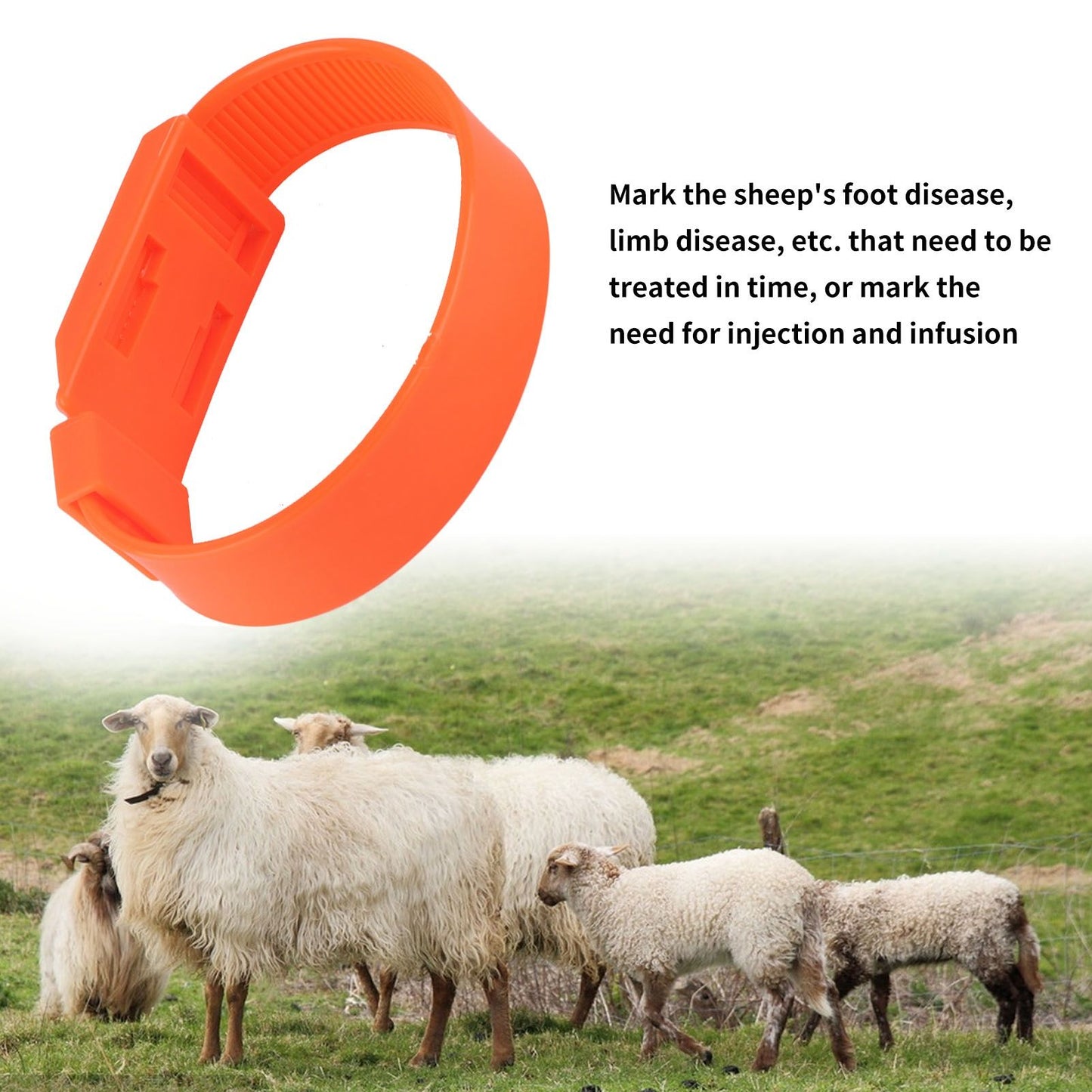 10Pcs Goat Collar Sheep Identification Bands Livestock Marking Ring Farming Equipment 36cm Orange V1294-YM0521-3111230027214