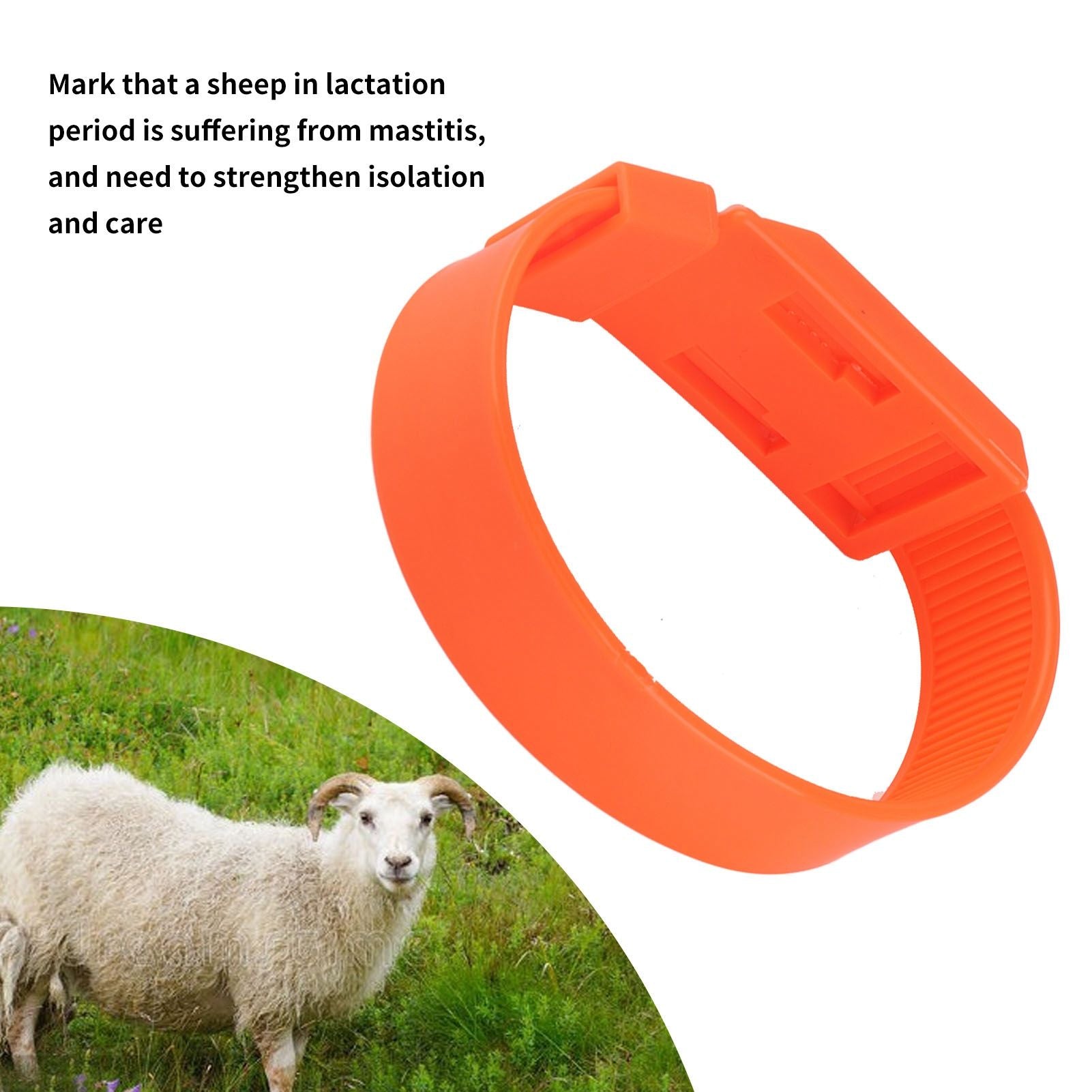 10Pcs Goat Collar Sheep Identification Bands Livestock Marking Ring Farming Equipment 36cm Orange V1294-YM0521-3111230027214