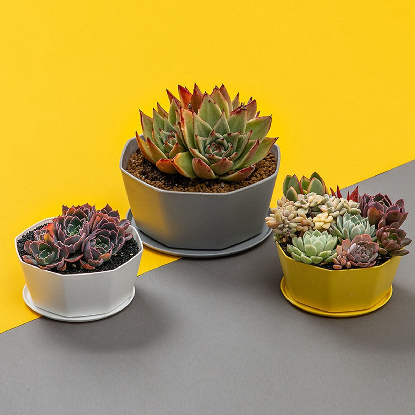 6PCS Planter Plastic Plant Pot Flower Container with Thickened Tray for Indoor Outdoor Garden V1294-YM0521-3111230033611