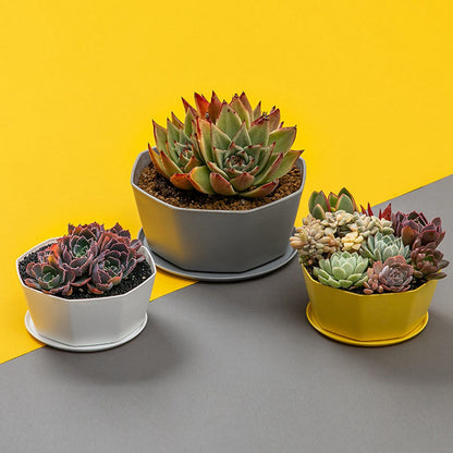 6PCS Planter Plastic Plant Pot Flower Container with Thickened Tray for Indoor Outdoor Garden V1294-YM0521-3111230033611