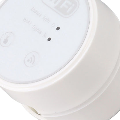 Automatic Houseplant Watering System 10 Potted Plants Drip Irrigation Kit WiFi Remote Automated Device V1294-YM0521-3111230038711