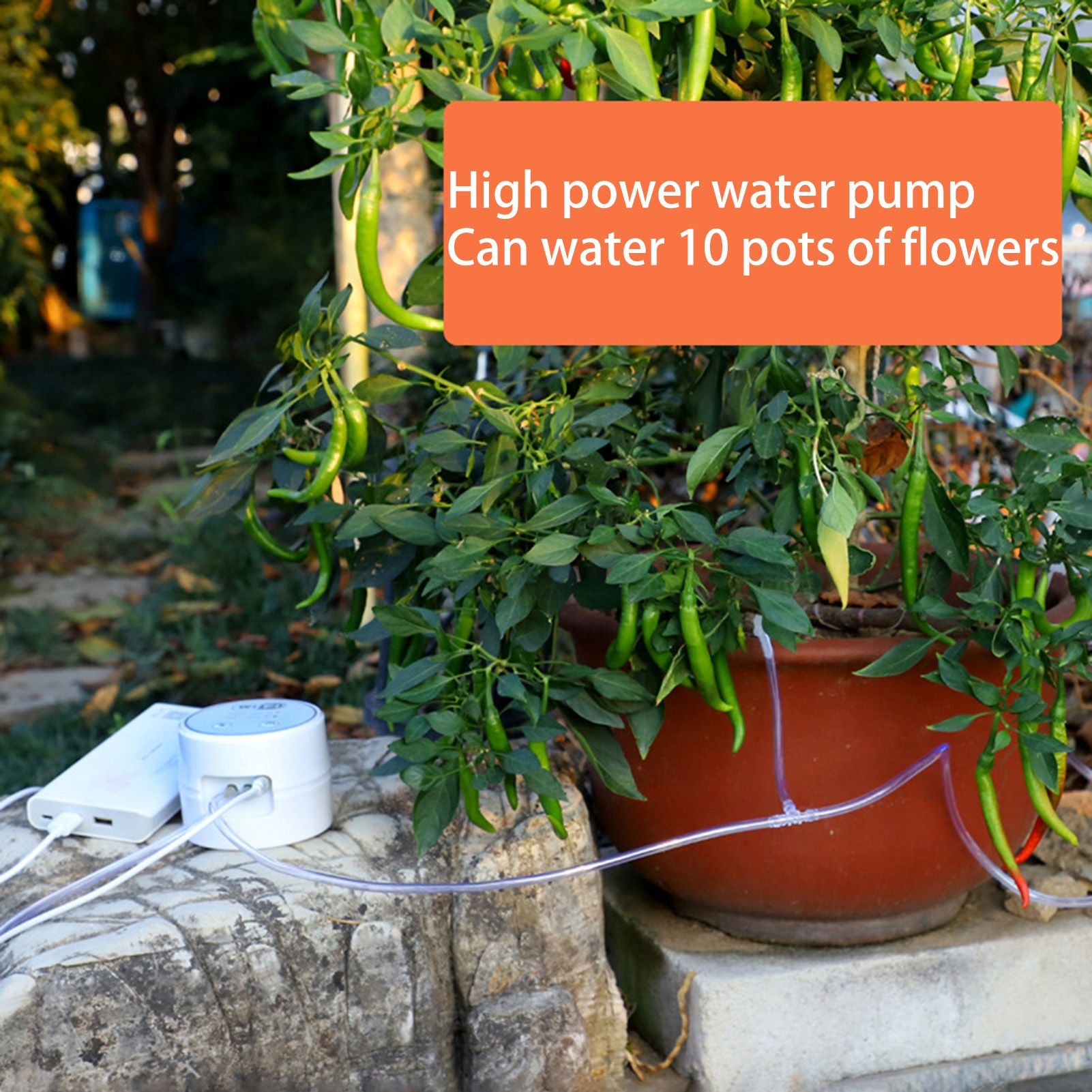 Automatic Houseplant Watering System 10 Potted Plants Drip Irrigation Kit WiFi Remote Automated Device V1294-YM0521-3111230038711