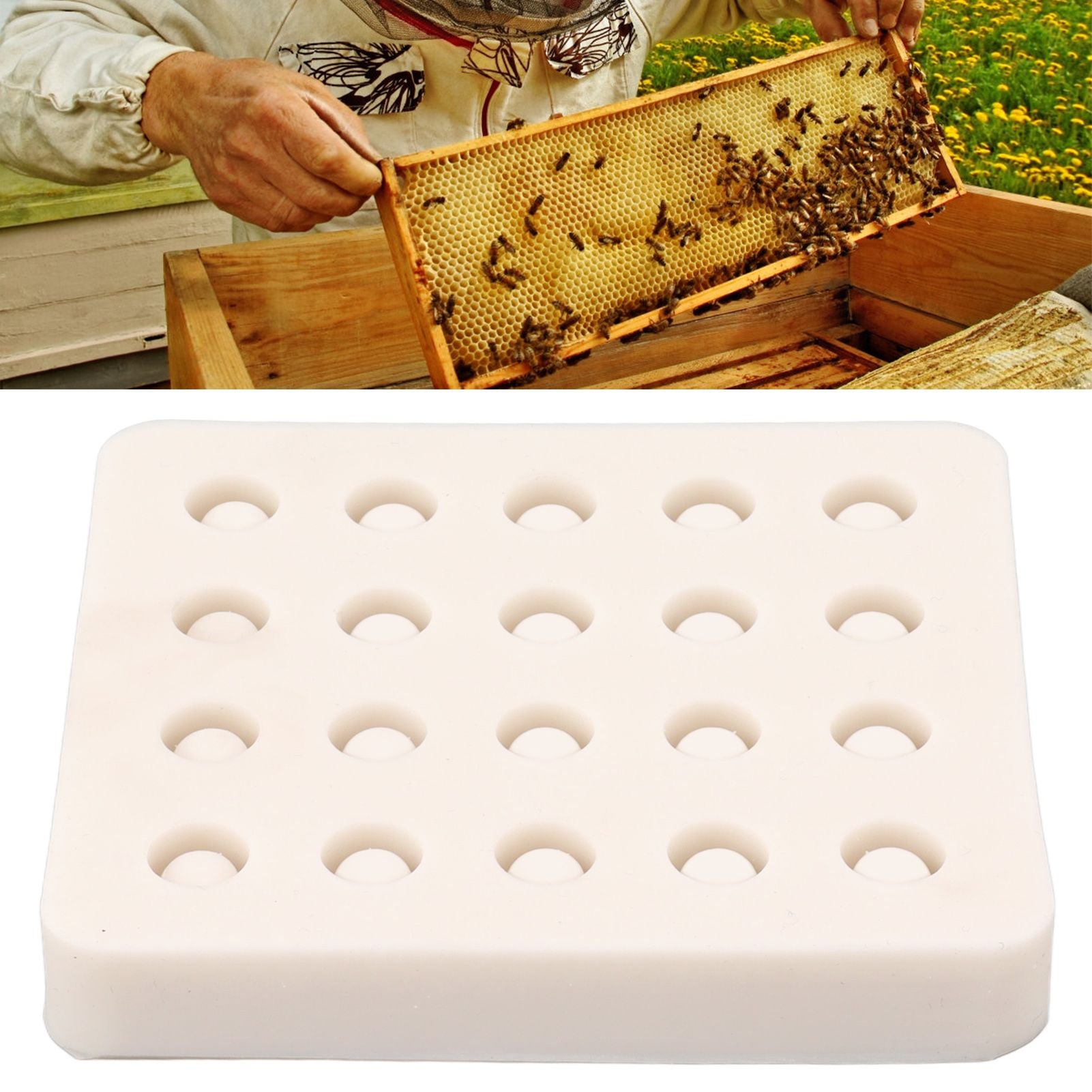 Queen Bee Rearing Mold Silicone 20 Cups Beeswax Mold Beekeeping Bee Cell Cup for Garden V1294-YM0521-3111230043511