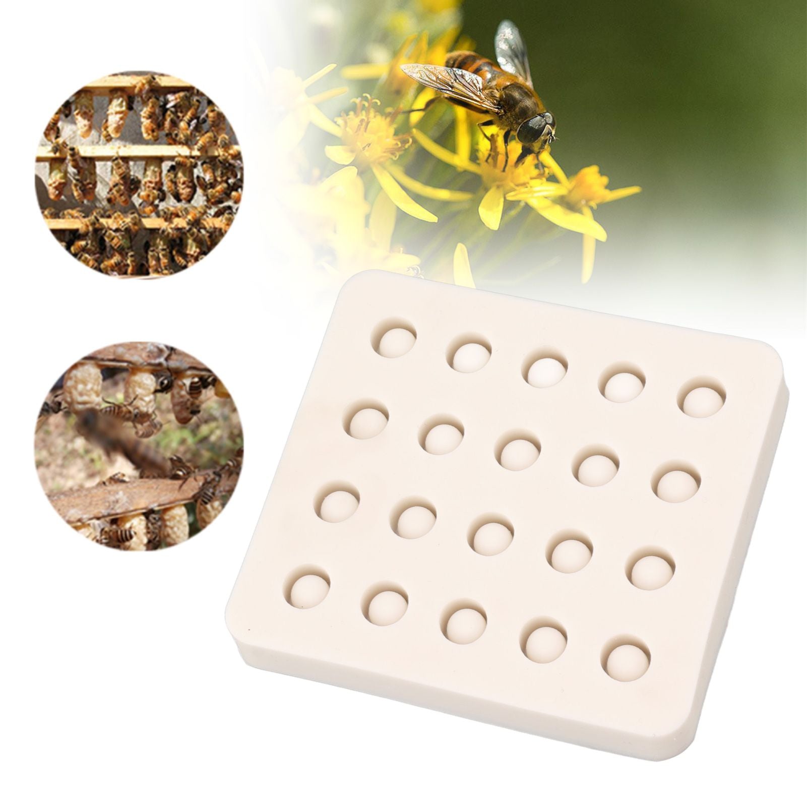 Queen Bee Rearing Mold Silicone 20 Cups Beeswax Mold Beekeeping Bee Cell Cup for Garden V1294-YM0521-3111230043511