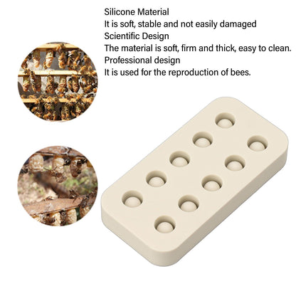 Wax Queen Grafting Cups Silicone Mold Beekeeping Beeswax Queen Cell Cups Making Mold 2 Rows 96x48x14mm V1294-YM0521-3111230043611