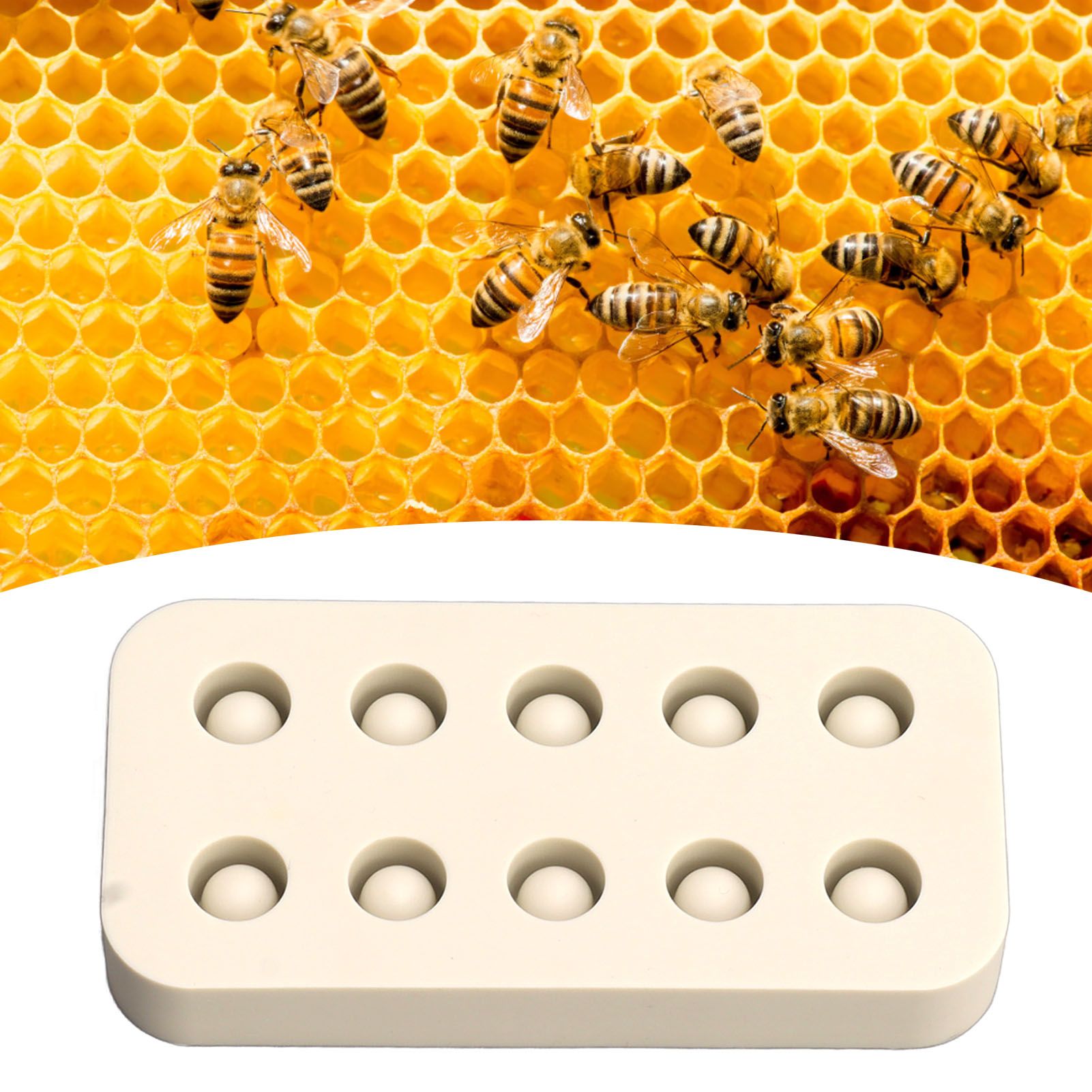 Wax Queen Grafting Cups Silicone Mold Beekeeping Beeswax Queen Cell Cups Making Mold 2 Rows 96x48x14mm V1294-YM0521-3111230043611