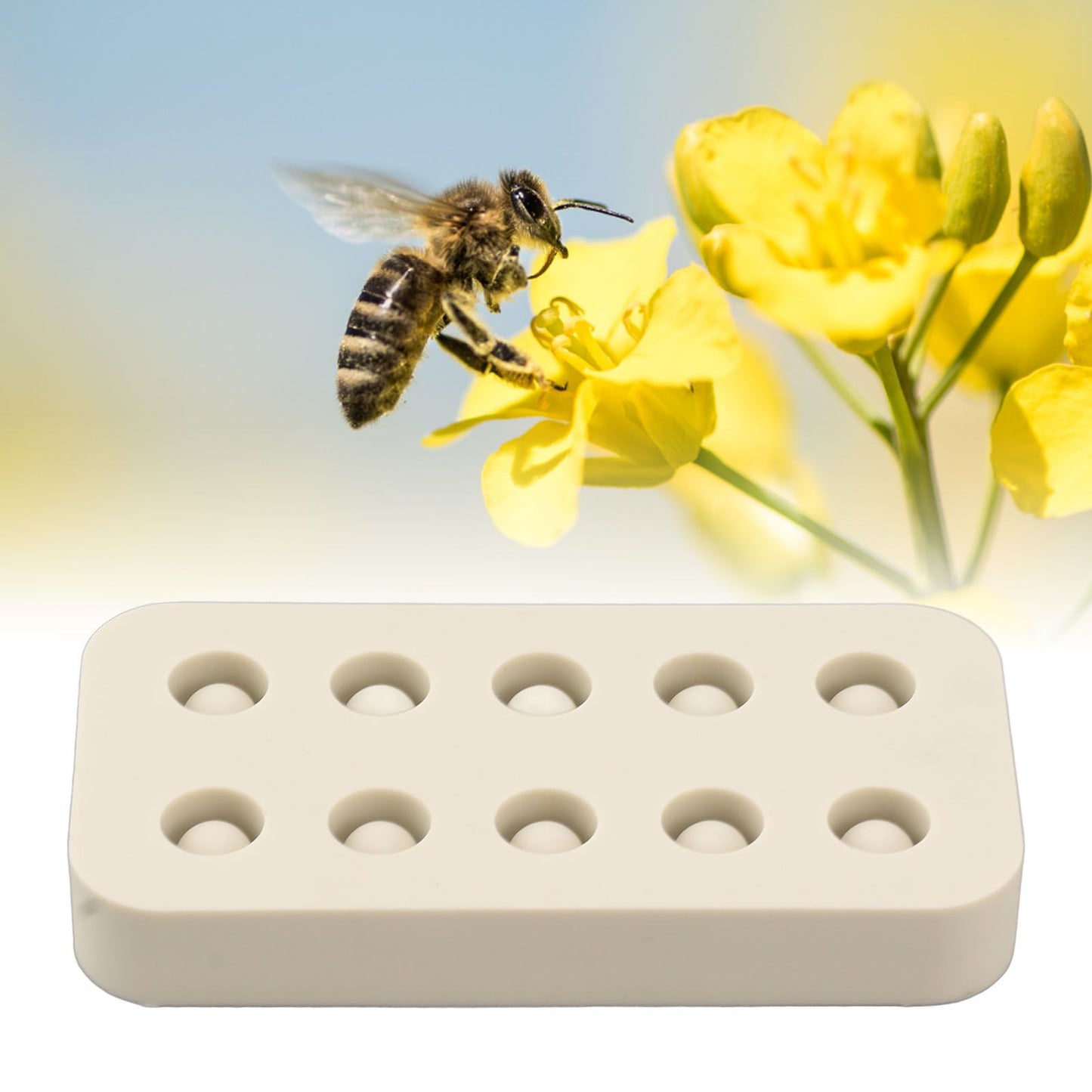 Wax Queen Grafting Cups Silicone Mold Beekeeping Beeswax Queen Cell Cups Making Mold 2 Rows 96x48x14mm V1294-YM0521-3111230043611