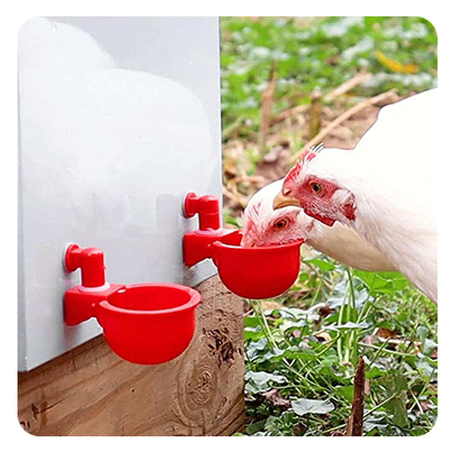 4 Set Automatic Poultry Fount Plastic Waterer Bowl with Hose Attachment for Game Bird Universal Red V1294-YM0521-3111230060911