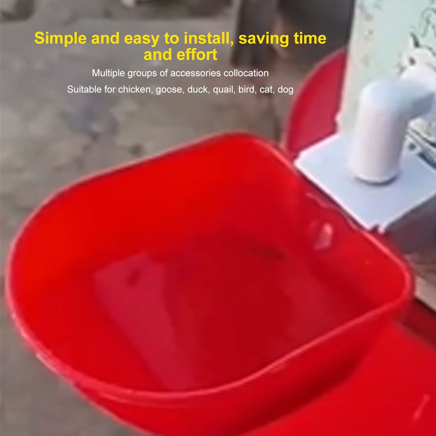 4 Set Automatic Poultry Fount Plastic Waterer Bowl with Hose Attachment for Game Bird Universal Red V1294-YM0521-3111230060911