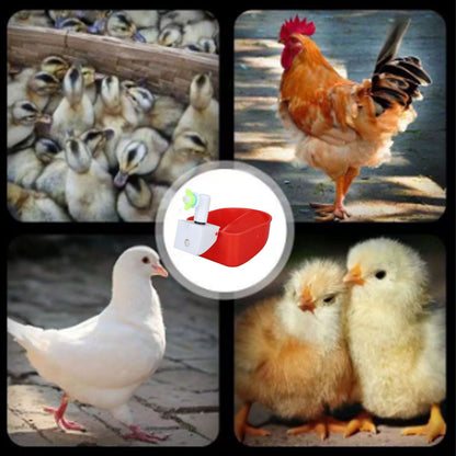 4 Set Automatic Poultry Fount Plastic Waterer Bowl with Hose Attachment for Game Bird Universal Red V1294-YM0521-3111230060911