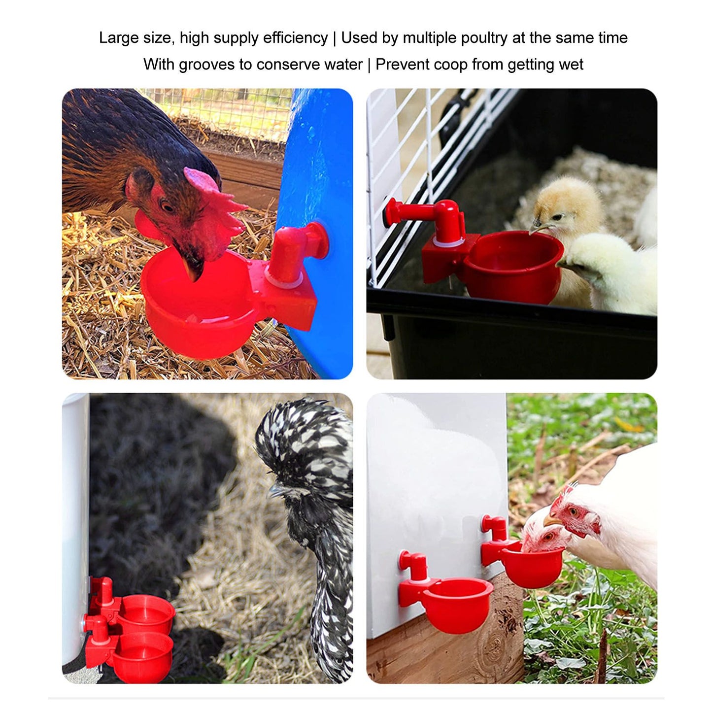 4 Set Automatic Poultry Fount Plastic Waterer Bowl with Hose Attachment for Game Bird Universal Red V1294-YM0521-3111230060911