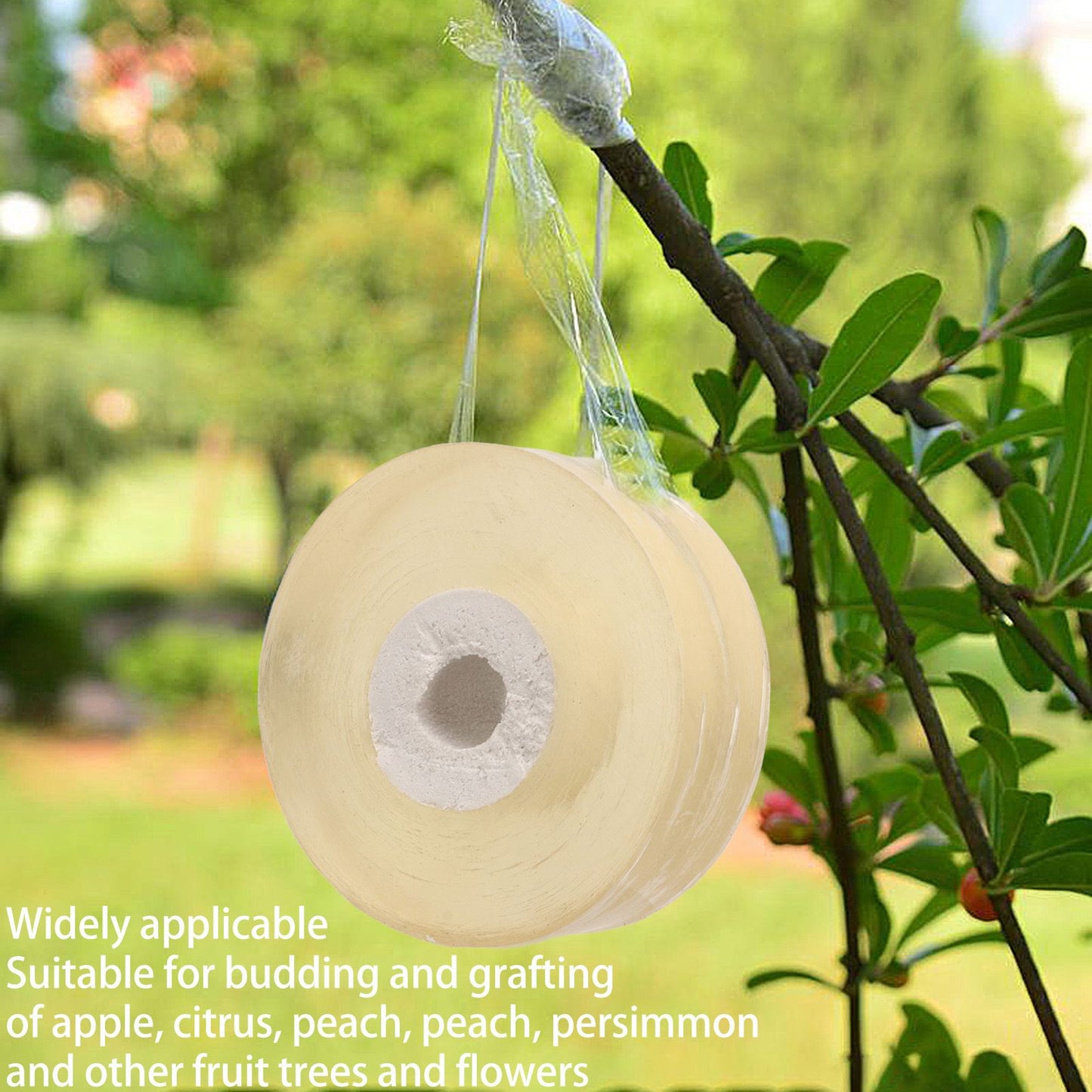 3pcs Grafting Tape Professional Stretchable Self Adhesive Plants Repair Budding Tapes for Floral Fruit Tree V1294-YM0521-3111230071711