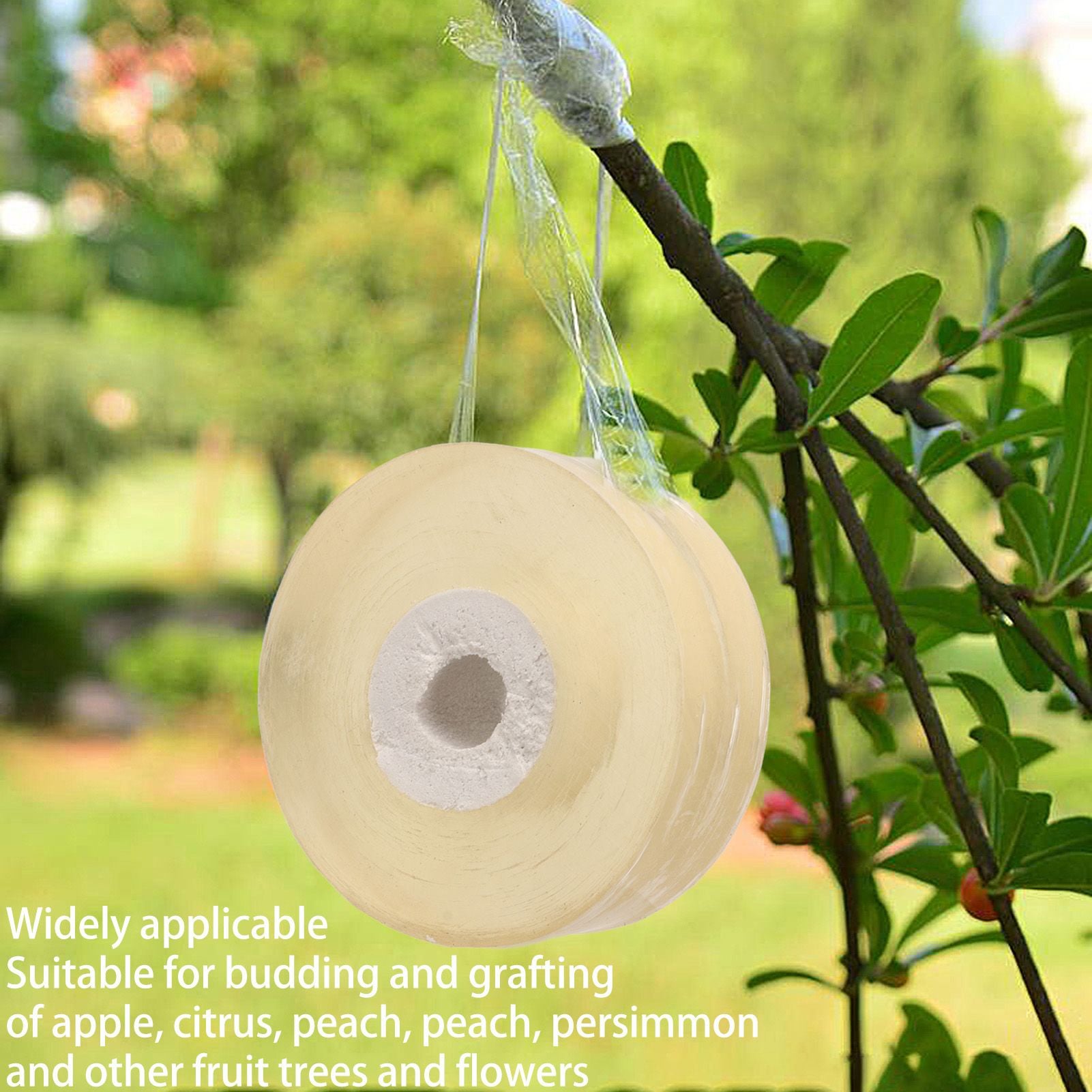 3pcs Grafting Tape Professional Stretchable Self Adhesive Plants Repair Budding Tapes for Floral Fruit Tree V1294-YM0521-3111230071711