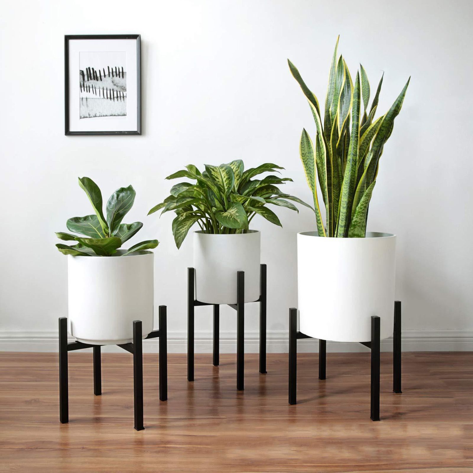 Adjustable Plant Stand Iron Simple Style Modern Plant Pot Holder Flowerpot Support Bracket V1294-YM0521-3111230073911
