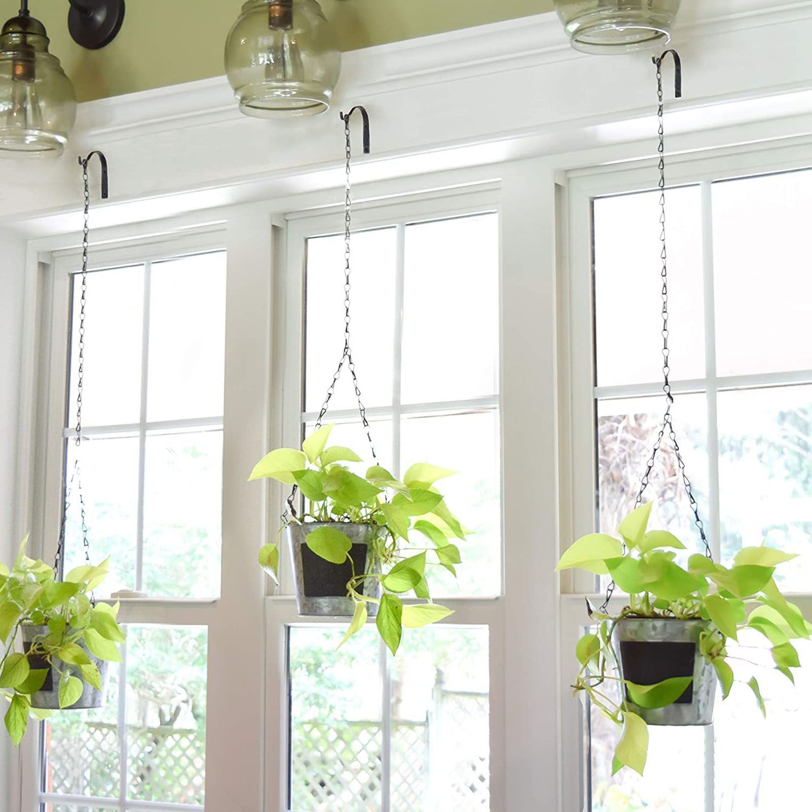 8Pcs Black Plants Hanging Wall Hook S Shape Wall Mount Plants Pot Hanging Bracket for Flower Basket V1294-YM0521-3117230060411