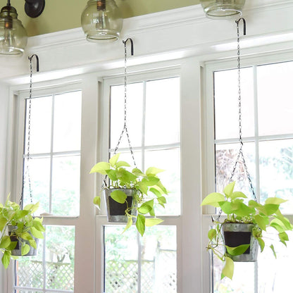 8Pcs Black Plants Hanging Wall Hook S Shape Wall Mount Plants Pot Hanging Bracket for Flower Basket V1294-YM0521-3117230060411