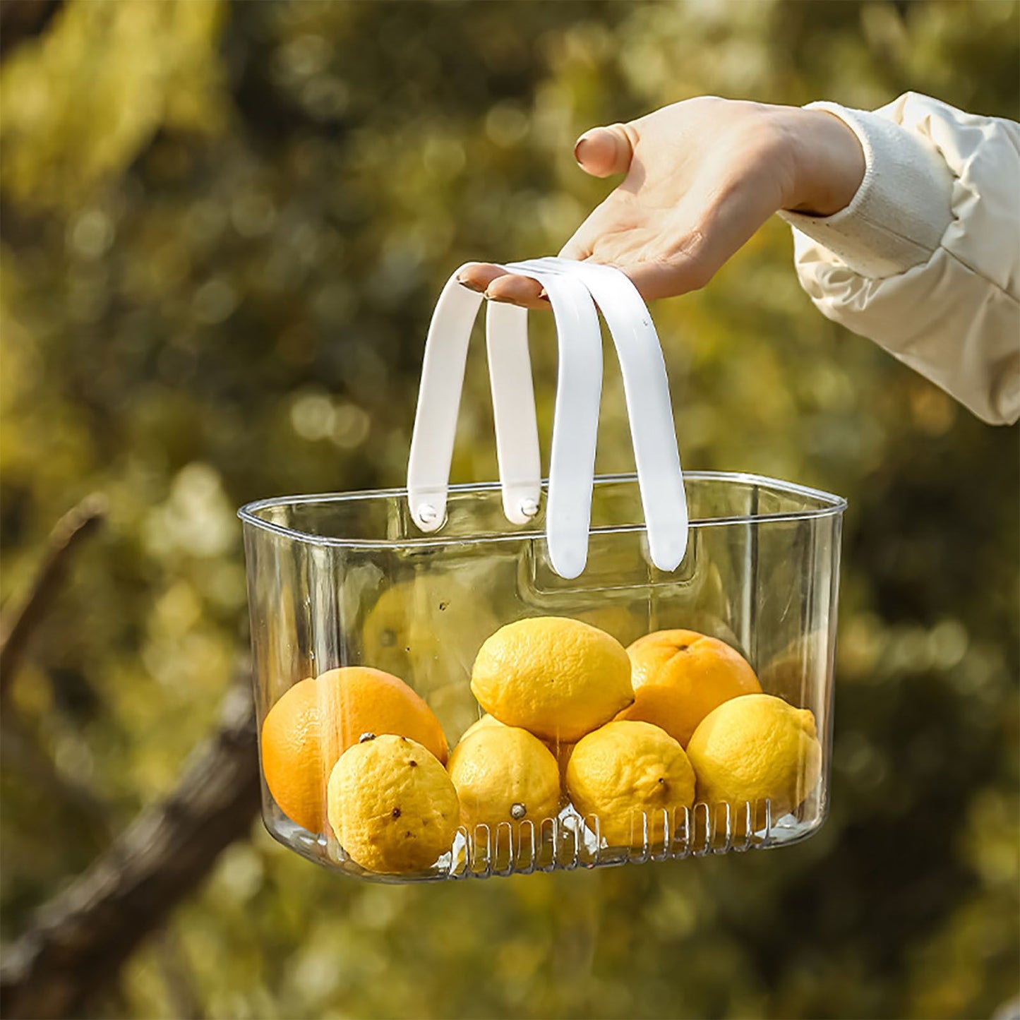 Clear Hand Basket Comfortable Handle Ventilation Holes Easy Access Versatile Fruit Storage Basket for Camping V1294-YM0521-3117230074511