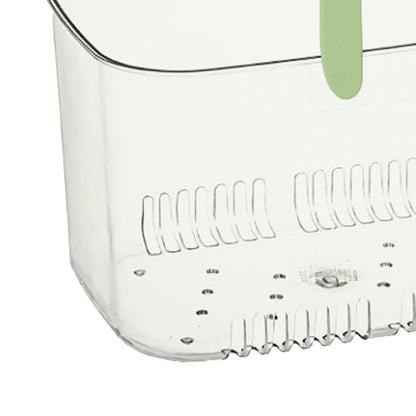 Clear Hand Basket Comfortable Handle Ventilation Holes Easy Access Versatile Fruit Storage Basket for Camping V1294-YM0521-3117230074513