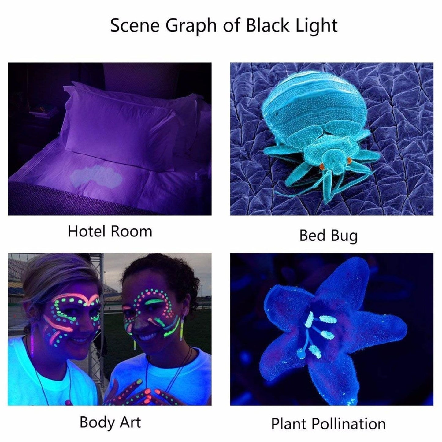 Portable 365nm UV Flashlight LED Black Light Torch for Pet Urine Detection Mineral Resin Solidified Scorpion V1294-YM0521-3119220183111