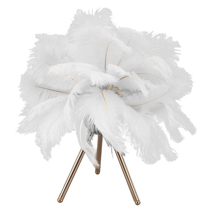 Feather Table Lamp USB Rechargeable Ostrich Feather Desk Light with Gold Tripod for Bedroom 40Pcs Artificial V1294-YM0521-3119230059511