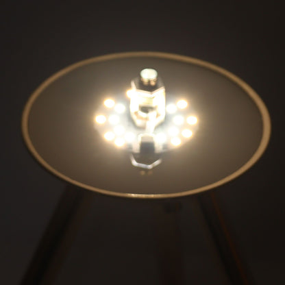 Feather Table Lamp USB Rechargeable Ostrich Feather Desk Light with Gold Tripod for Bedroom 40Pcs Artificial V1294-YM0521-3119230059511