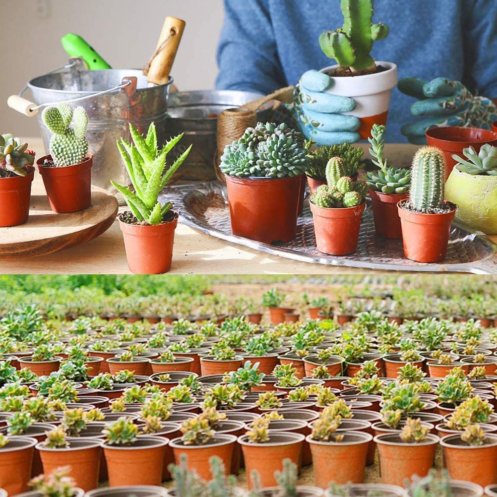 75 Pcs Plastic Plant Flower Pot Nursery Transplanting Pot Seeds Container Garden Decoration V1294-YM0523-10317349