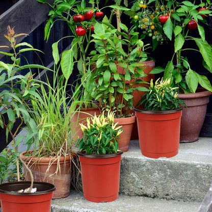 75 Pcs Plastic Plant Flower Pot Nursery Transplanting Pot Seeds Container Garden Decoration V1294-YM0523-10317349