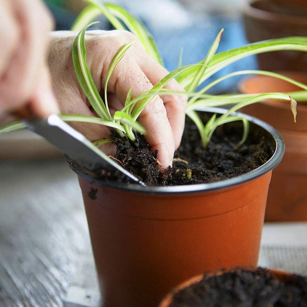 75 Pcs Plastic Plant Flower Pot Nursery Transplanting Pot Seeds Container Garden Decoration V1294-YM0523-10317349