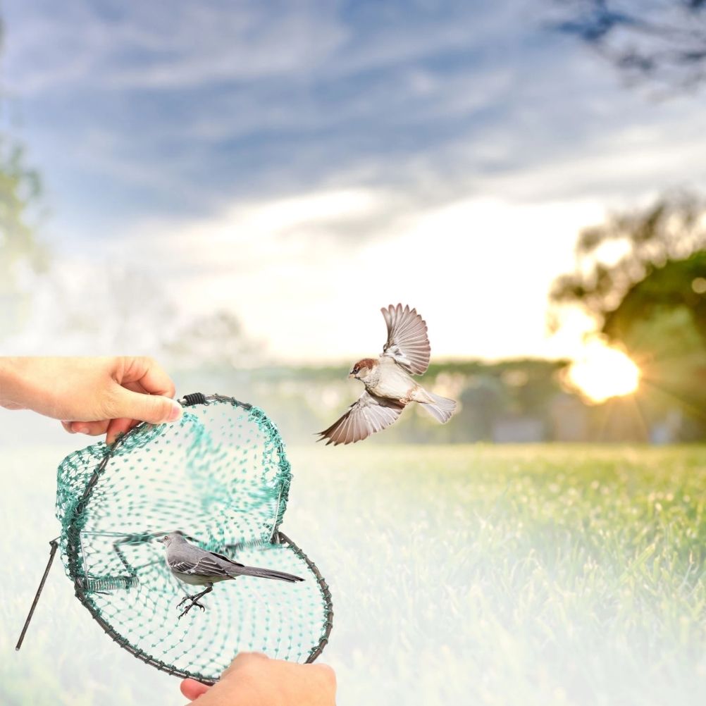 Catching Bird Net Pest Control Humane Live Trap Mesh for Sparrows Pigeons Quail and Birds V1294-YM0523-10341055