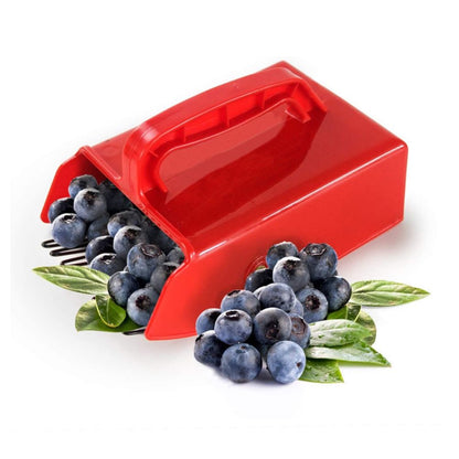 Berry Picker with Metallic Comb and Handle for Easier Berry Bilberries Cloudberries Picking Garden Tool V1294-YM0523-10341551