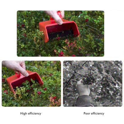 Berry Picker with Metallic Comb and Handle for Easier Berry Bilberries Cloudberries Picking Garden Tool V1294-YM0523-10341551