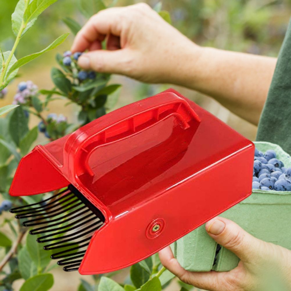 Berry Picker with Metallic Comb and Handle for Easier Berry Bilberries Cloudberries Picking Garden Tool V1294-YM0523-10341551