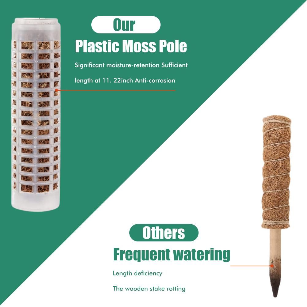 Moss Pole 25cm Plastics Coir Moss Totem Pole Stick for Plant Stakes and Supports Climbing Indoor Plants V1294-YM0523-10342811