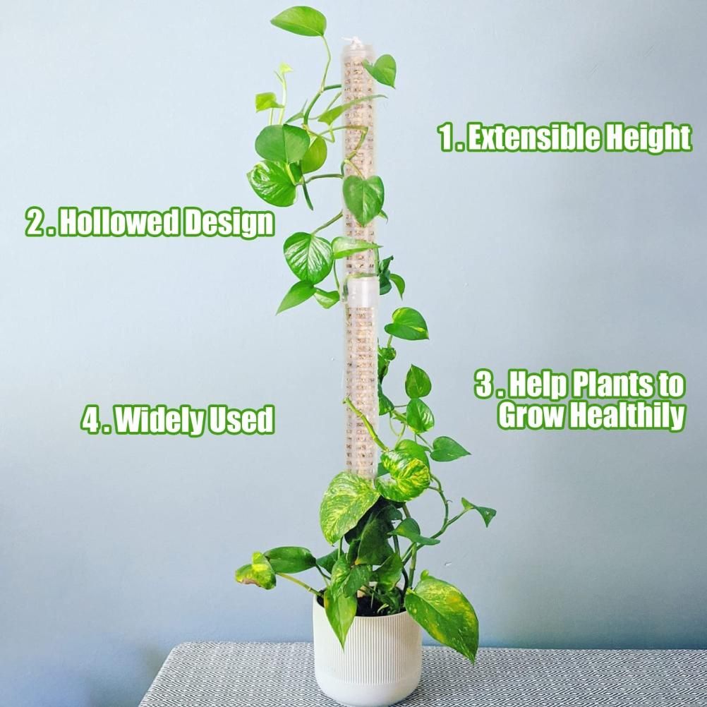 Moss Pole 25cm Plastics Coir Moss Totem Pole Stick for Plant Stakes and Supports Climbing Indoor Plants V1294-YM0523-10342811