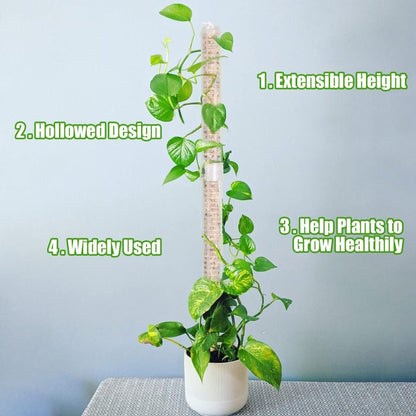 Moss Pole 25cm Plastics Coir Moss Totem Pole Stick for Plant Stakes and Supports Climbing Indoor Plants V1294-YM0523-10342811