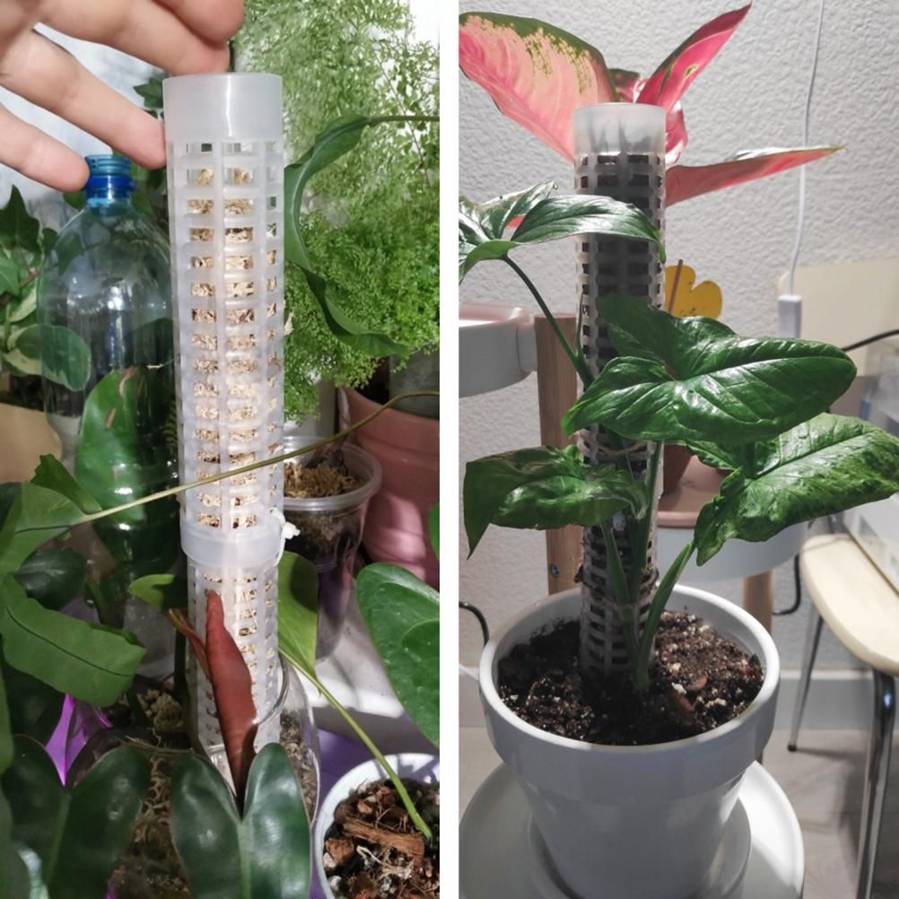 Moss Pole 25cm Plastics Coir Moss Totem Pole Stick for Plant Stakes and Supports Climbing Indoor Plants V1294-YM0523-10342811