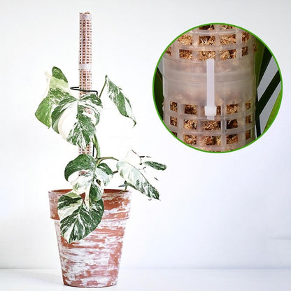 Moss Pole 25cm Plastics Coir Moss Totem Pole Stick for Plant Stakes and Supports Climbing Indoor Plants V1294-YM0523-10342811