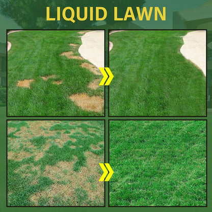 2 Pack Lawn Liquid Home Garden Courtyard Lawn Greening Agent V1294-YM0523-10342995