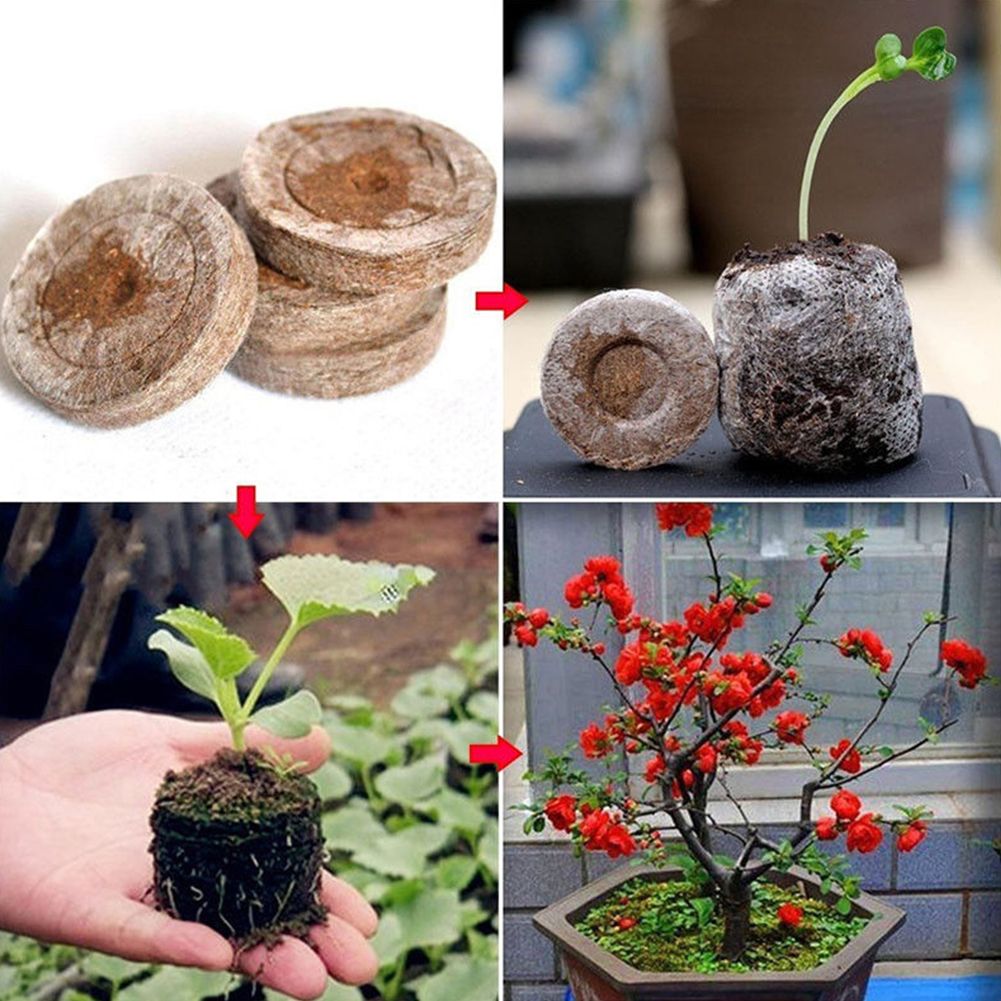 Seed Starter Soil Plugs Plant Fiber Nursery Blocks Peat Soil Pellets V1294-YM0523-190513XA09-1