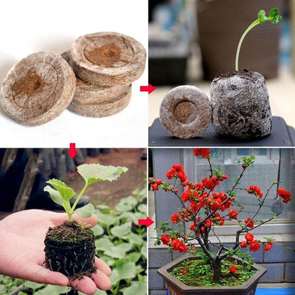Seed Starter Soil Plugs Plant Fiber Nursery Blocks Peat Soil Pellets V1294-YM0523-190513XA09-1
